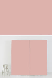 Block Colour #400 Pastels - Pink - SetSurfaces