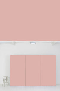 Block Colour #400 Pastels - Pink - SetSurfaces