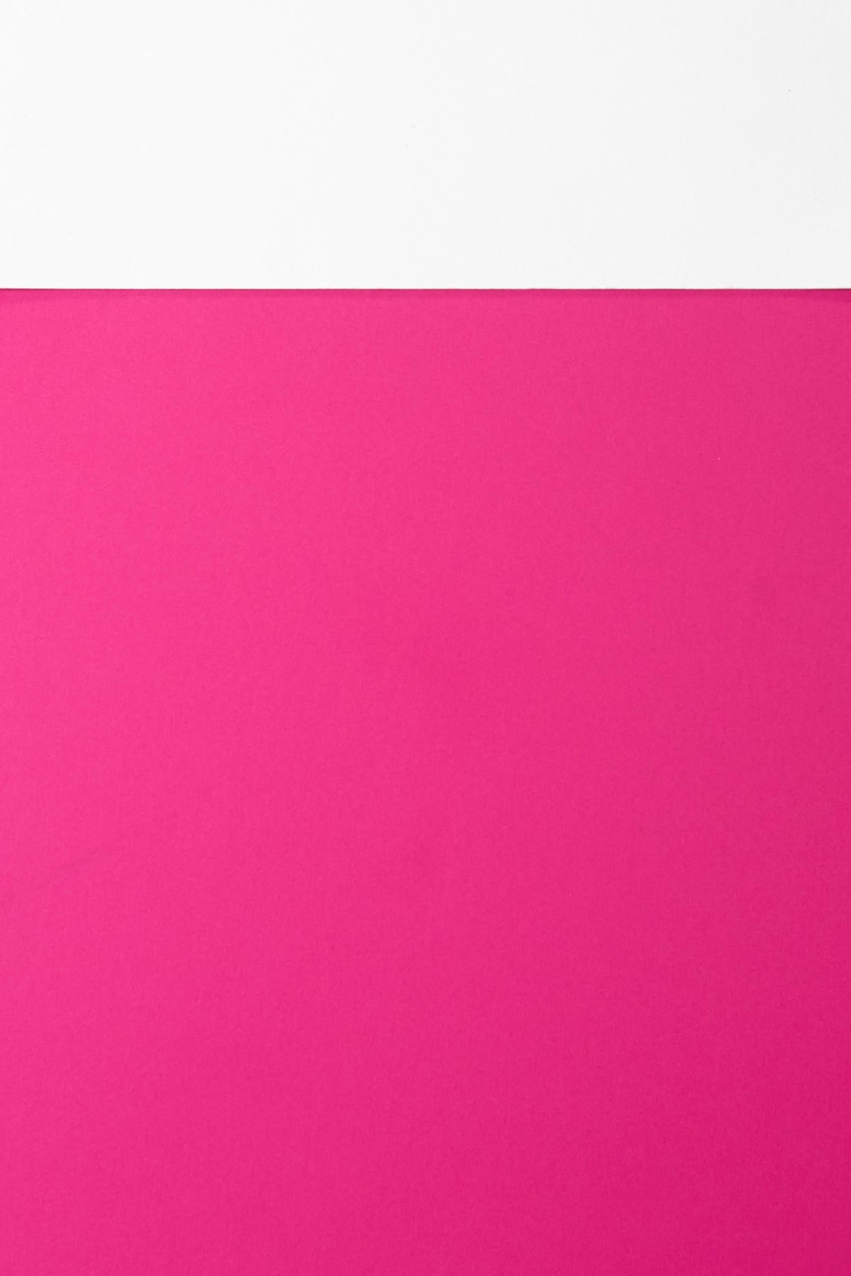 #0400 | Block | Brights | Pink