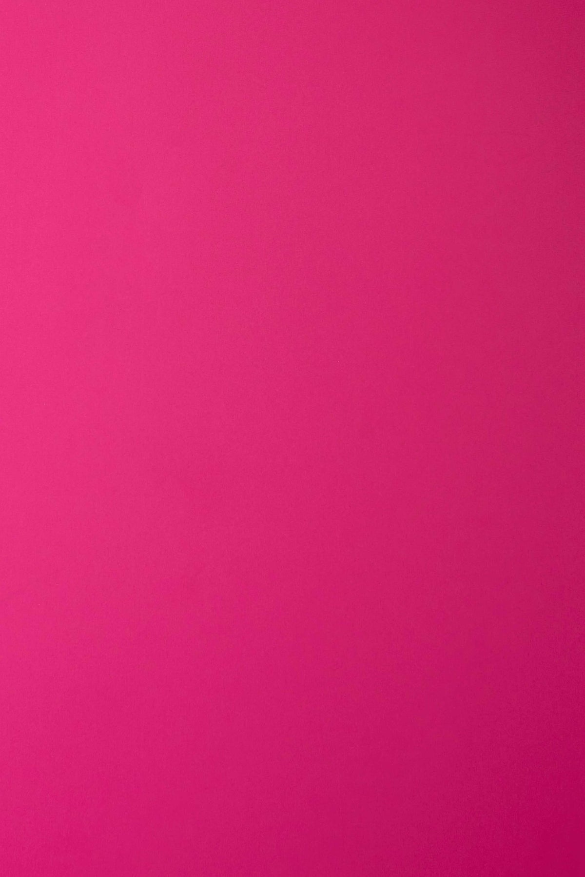 #0400 | Block | Brights | Pink
