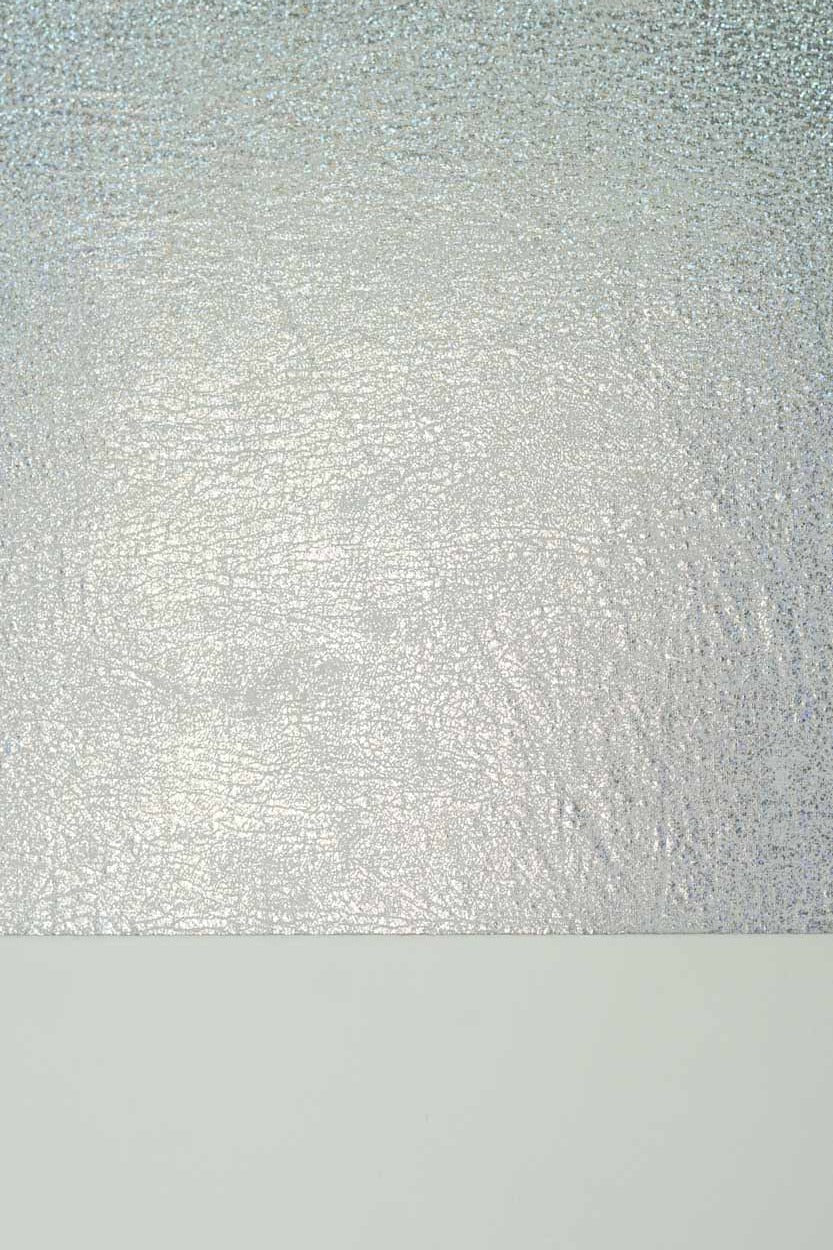 #0180 | Metallic | Hologram | Silver