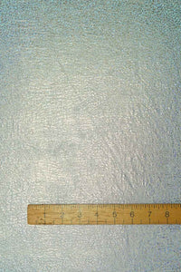 #0180 | Metallic | Hologram | Silver