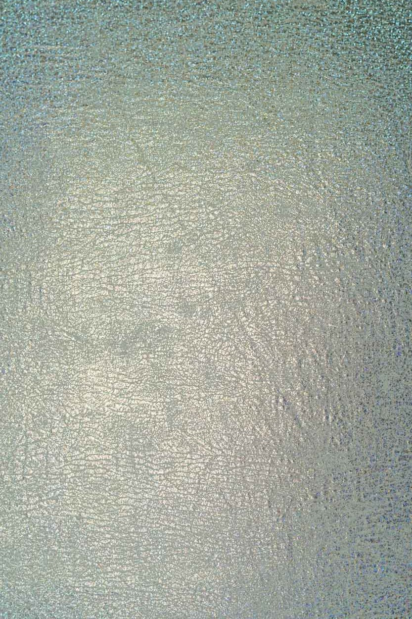 #0180 | Metallic | Hologram | Silver