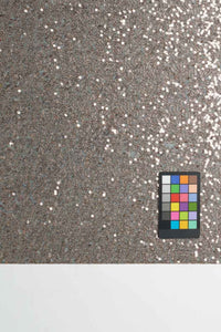 #0102 | Sequin | Blush