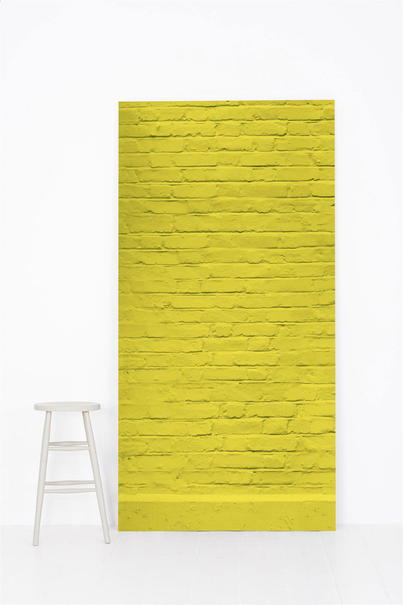 #0310  | Brick | Yellow