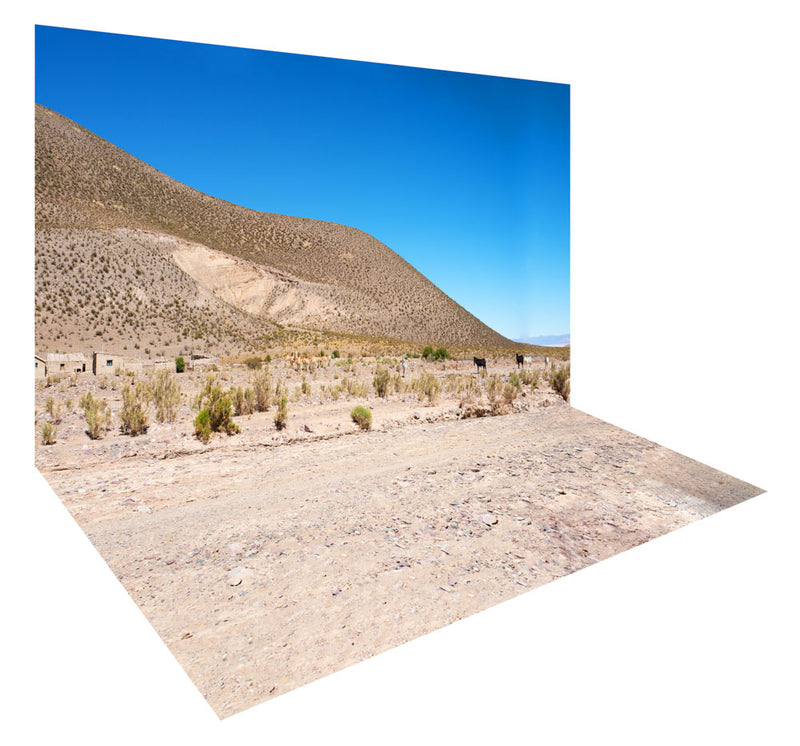 Argentina Landscape 1 - photography backdrop - a ready to hire digitally printed sustainable photography background