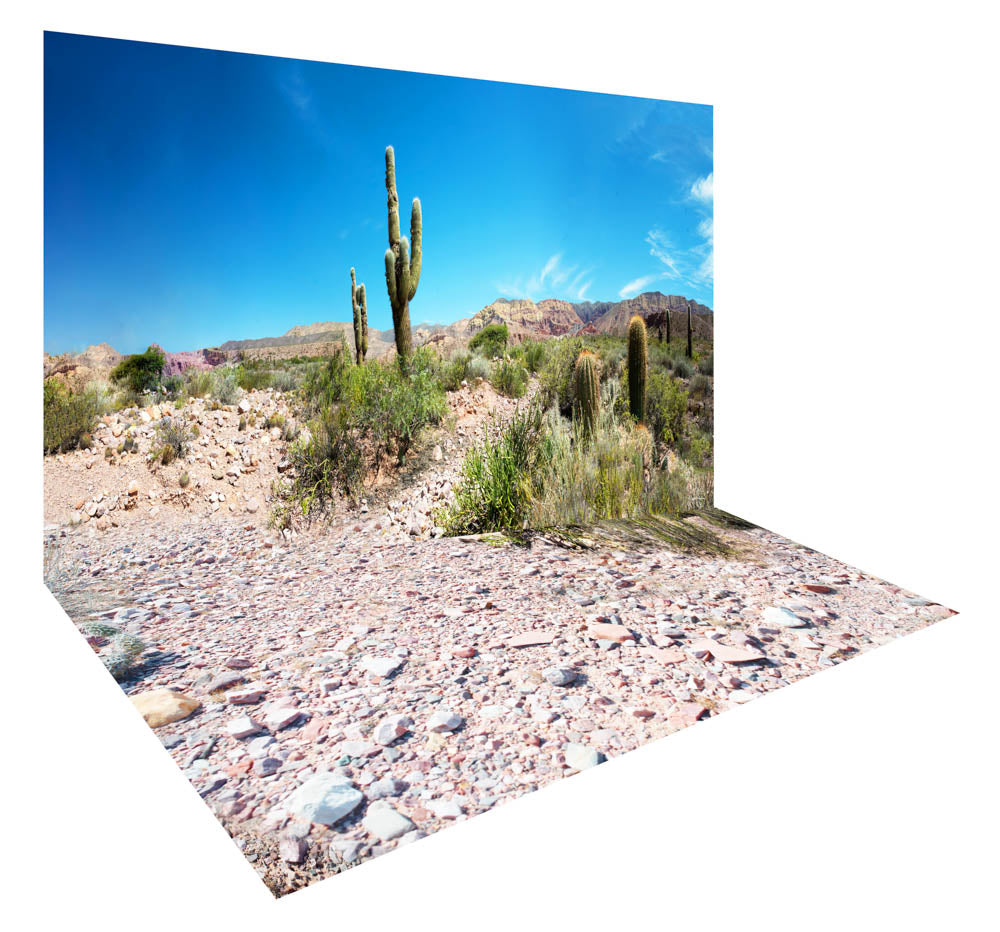 Argentina Cactus 3 - photography backdrop - a ready to hire digitally printed sustainable photography background